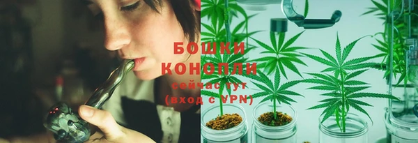 эйфоретик Верея