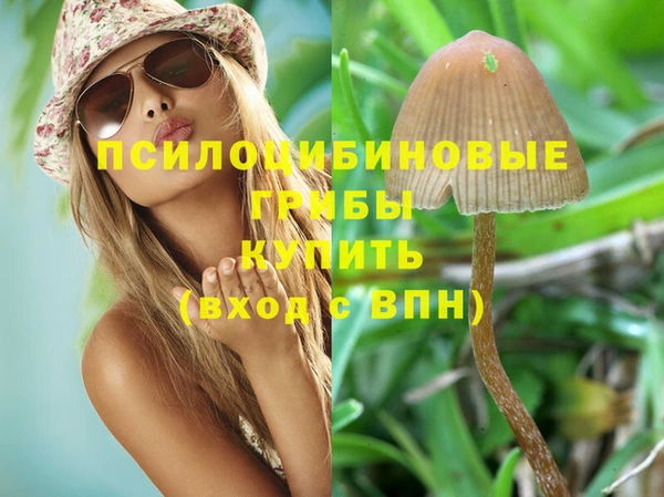 дмт Верхний Тагил
