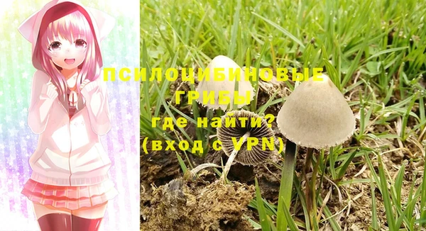 марки nbome Пролетарск