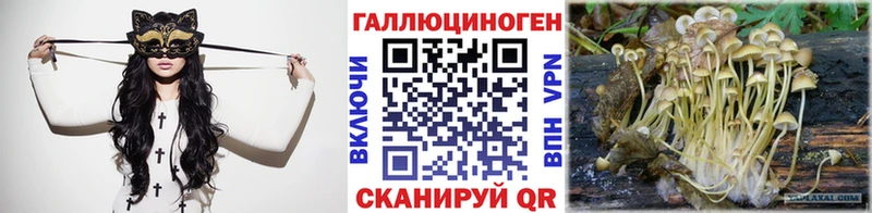 Псилоцибиновые грибы Cubensis  Касимов 
